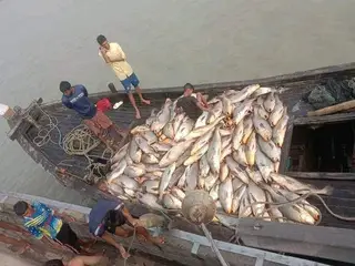 ১৫৯টি কালো পোয়া সাড়ে ৩০ লাখ টাকায় বিক্রি!